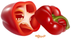 Red Pepper PNG Clipart Picture