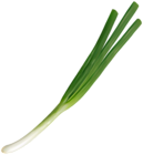 Spring Onion PNG Transparent Clipart
