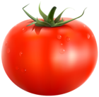 Tomato PNG Clipart Picture