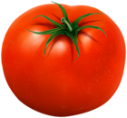 Tomato Transparent Clip Art Image