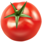 Tomatos PNG Clip Art Image
