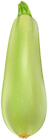 Zucchini PNG Clipart Image