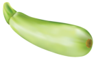 Zucchini PNG Vector Clipart Image