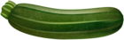 Zucchini Transparent PNG Clip Art Image
