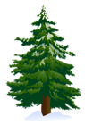 Green Pine Tree PNG Clipart