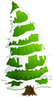 Pine Tree with Snow Clip Art Image