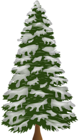 Pine Tree with Snow PNG Clip Art