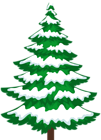 Pine Tree with Snow Transparent Clip Art