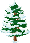 Snowy Fir Tree PNG Clipart
