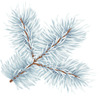 Snowy Pine Branch PNG Clipart