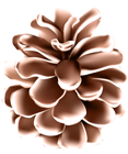 Snowy Pinecone PNG Clipart