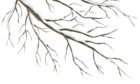 Winter Branch PNG Clipart Image