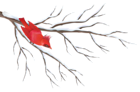 Winter Branch with Bird PNG Clipart Image