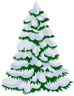 Winter Pine Snowy Tree PNG Transparent Clipart