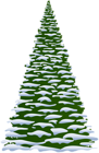 Winter Pine Tree Transparent Clip Art