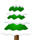 Winter Tree Snowy PNG Clipart