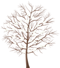 Winter Tree Transparent PNG Clip Art Image