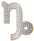 Capricorn Zodiac Sign Silver PNG Clip Art Image