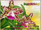 Happy Birthday Orchid Card