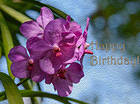 Happy Birthday with Orchids