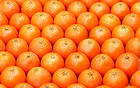 Oranges Wallpaper
