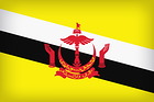 Brunei Large Flag