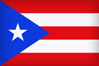Puerto Rico Large Flag
