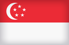 Singapore Large Flag