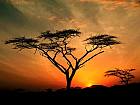 African-Sunset
