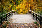 Autumn Forest Landscape with Bridge HD Wallpaper