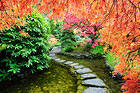 Beautiful Autumn Landscape HD Wallpaper