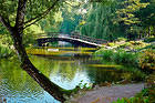 Beautiful Landscape with Bridge HD Wallpaper