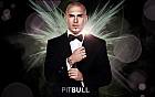 Pitbull in Black Suit Wallpaper
