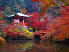 Daigo ji Temple in Autumn Kyoto Japan Wallpaper
